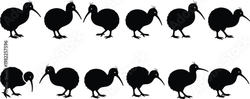 Detailed vector illustration of multiple black kiwi bird silhouettes in a repeated linear pattern