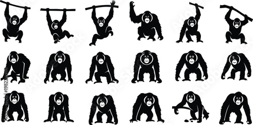 Vector graphic illustration featuring a collection of diverse orangutan silhouettes in various poses.