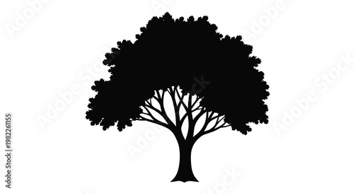 Detailed black tree with intricate branches a striking silhouette