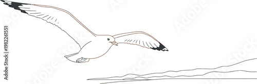 A beautiful cartoon illustration depicts a graceful seagull with wings spread wide, soaring freely over a serene sandy beach and calm blue ocean water.