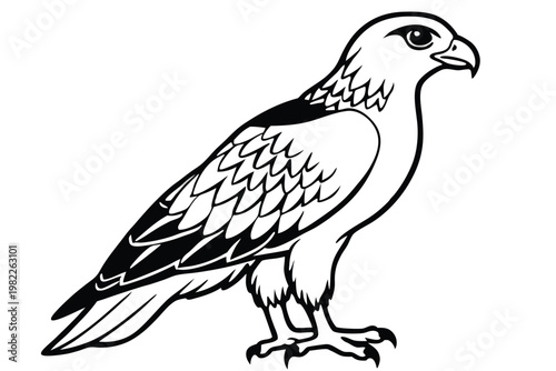 Obraz na płótnie buzzard bird silhouette line art vector illustration with a white background