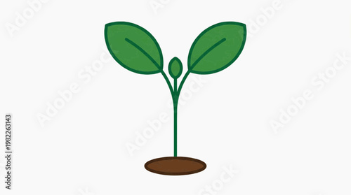 A simple drawing of a young green sprout emerging from the brown soil