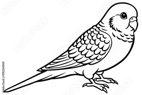 budgerigar bird silhouette line art vector illustration with a white background