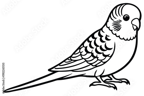 budgerigar bird silhouette line art vector illustration with a white background