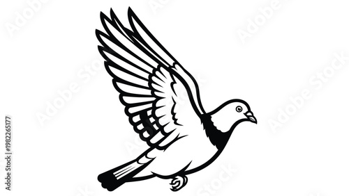 vector, illustration, of animals