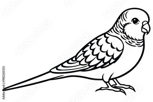 budgerigar bird silhouette line art vector illustration with a white background