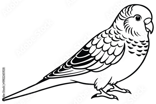 budgerigar bird silhouette line art vector illustration with a white background