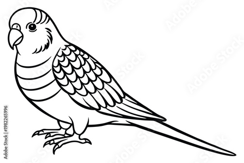 budgerigar bird silhouette line art vector illustration with a white background
