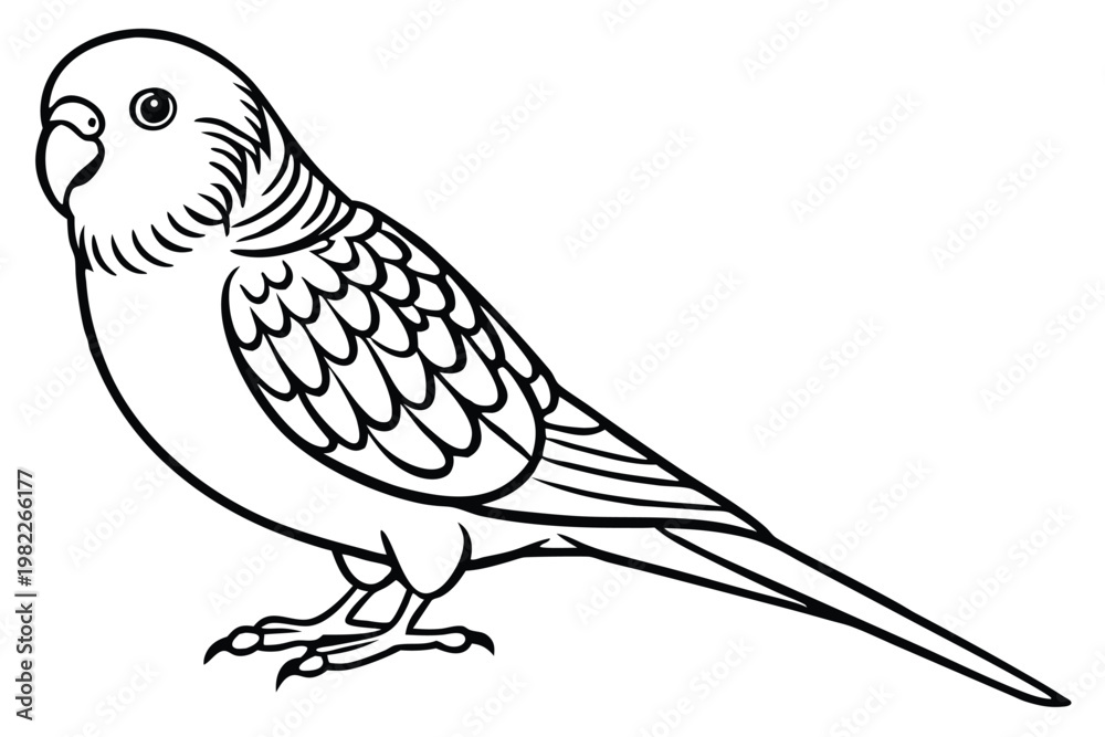 Fototapeta premium budgerigar bird silhouette line art vector illustration with a white background
