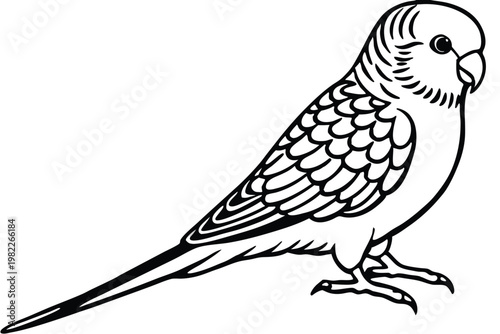 budgerigar bird silhouette line art vector illustration with a white background