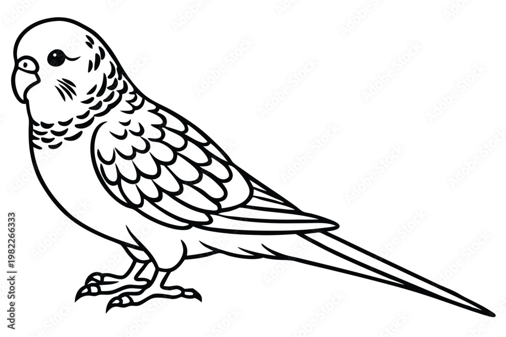 Fototapeta premium budgerigar bird silhouette line art vector illustration with a white background