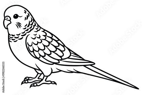 budgerigar bird silhouette line art vector illustration with a white background