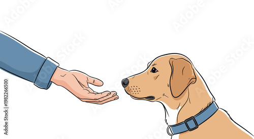 Human hand reaching out to touch nose of friendly dog in close up bond between pet and owner for companionship and animal love.