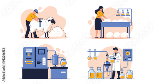 Infographic showing steps of wool production from sheep shearing to laboratory quality testing and manufacturing for textile industry.