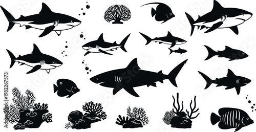 collection of sharks and various fish with coral reef silhouettes on white background