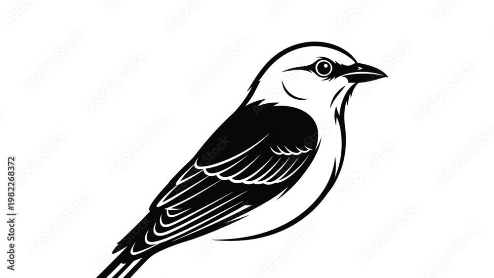 Fototapeta premium vector, illustration, of animals