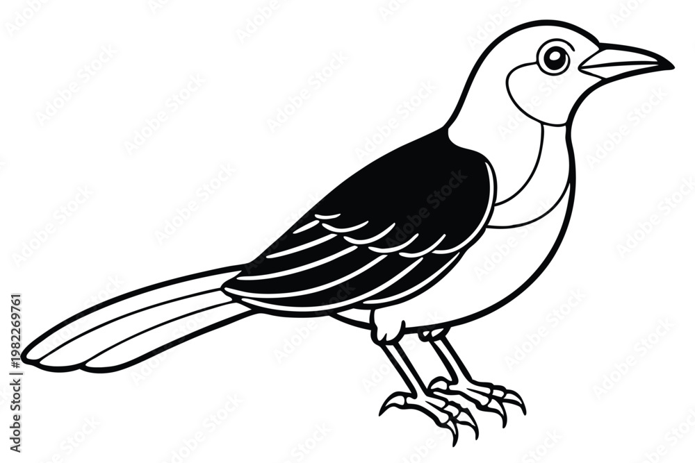 Obraz premium bowerbird silhouette line art vector illustration with a white background