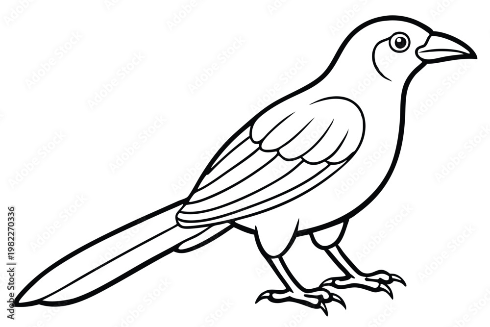 Fototapeta premium bowerbird silhouette line art vector illustration with a white background