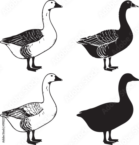 Four distinct geese silhouettes in contrasting black and white illustrations