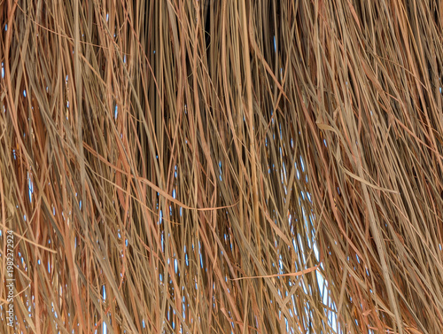 Thatched roof background close up