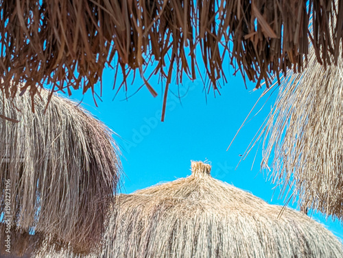 Thatched parasols under blue sky