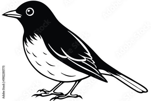 american robin silhouette line art vector illustration with a white background