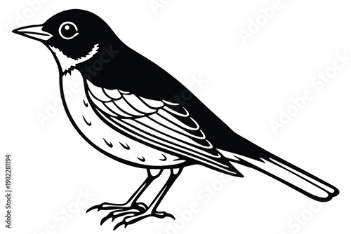 american robin silhouette line art vector illustration with a white background