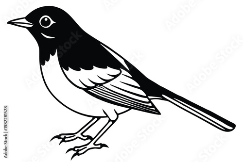 american robin silhouette line art vector illustration with a white background