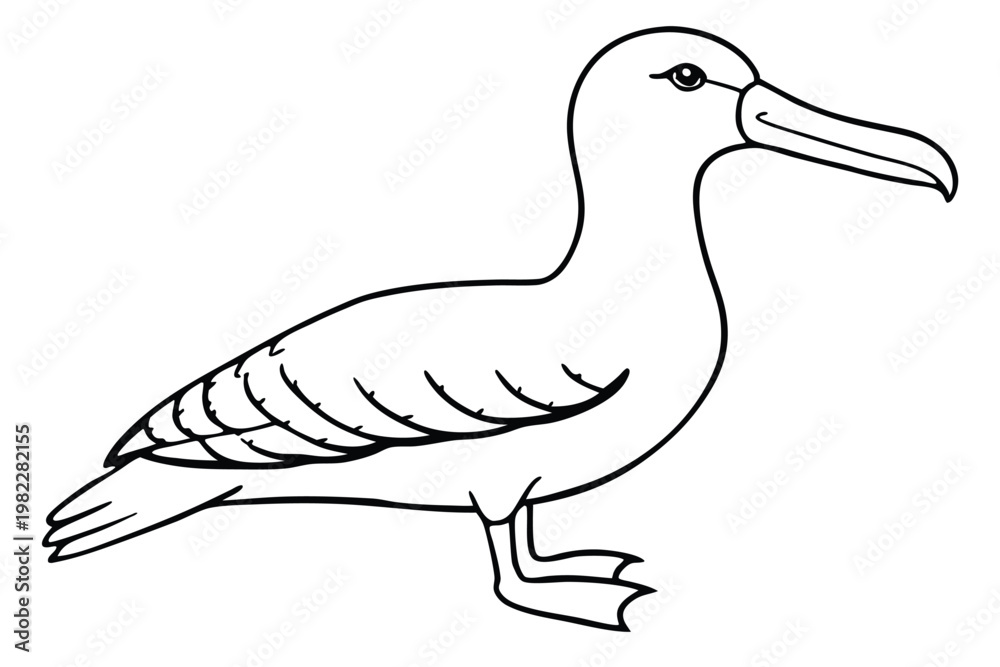 Obraz premium albatross bird silhouette line art vector illustration with a white background