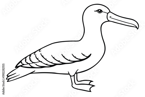 albatross bird silhouette line art vector illustration with a white background