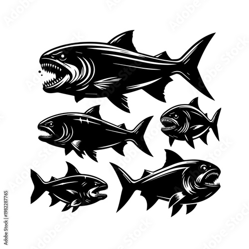 piranha fish vector illustration