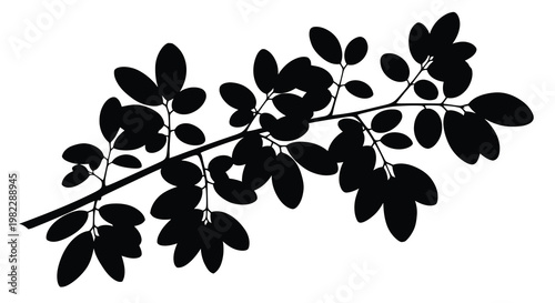 A silhouetted branch with numerous oval shaped leaves is prominently displayed against a white background