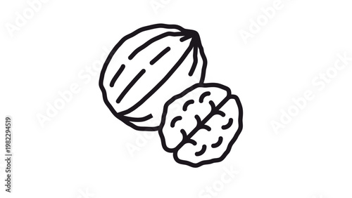 Black and white vector icon illustration of a whole walnut in its shell and a shelled walnut kernel, minimalist line art symbol for healthy snacks, organic ingredients, and brain food.