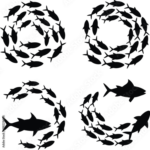School of fish swimming in circles and sharks circling prey silhouettes