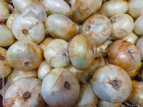 A tray of large white swet cooking onions in a farmers market