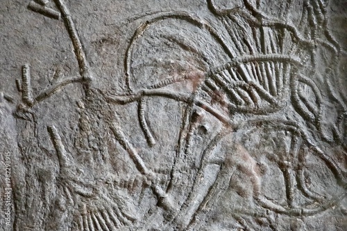 Fossilized skeletal remains with visible rib-like structures embedded in rock.