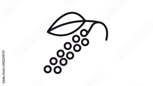 Black pepper vector icon illustration. Minimalist line art of a peppercorn branch with a single leaf and small round berries. Scalable black silhouette symbol for food, spice, and cooking.