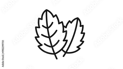 Minimalist black line vector icon illustration of two fresh mint or basil leaves with serrated edges, perfect for nature, food, herbal medicine, and organic product branding and graphic design.