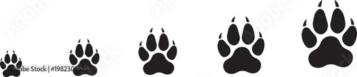 Black animal paw prints a progression of footprints showing size and detail