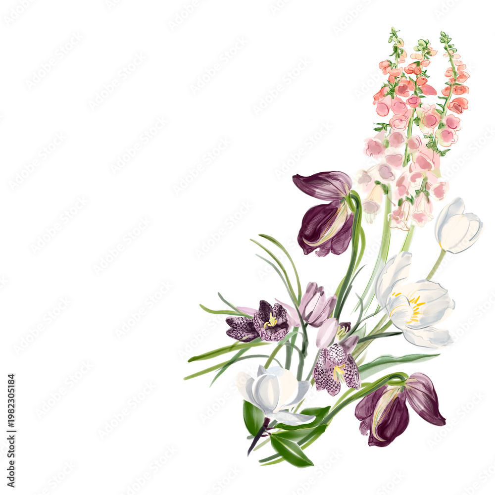 Fototapeta premium Elegant watercolor floral bouquet composition with foxglove and tulips. Transparent background.