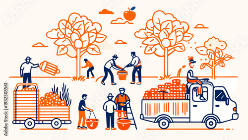 Vector illustration of rural workers working in an orchard. Harvest concept