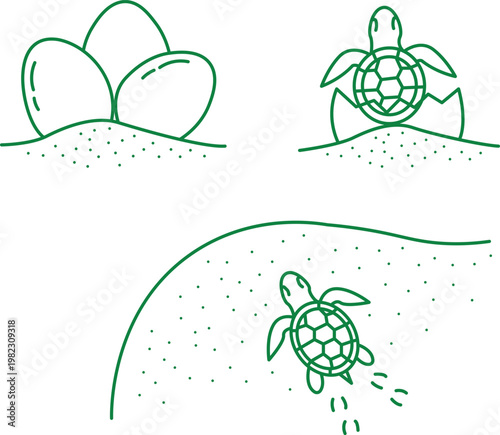 Cuadro en lienzo Celebrating turtle day adorable turtle sketches depicting hatchlings and ocean l