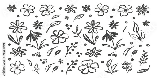 A collection of hand drawn floral sketches featuring various flowers leaves and sprigs of berries
