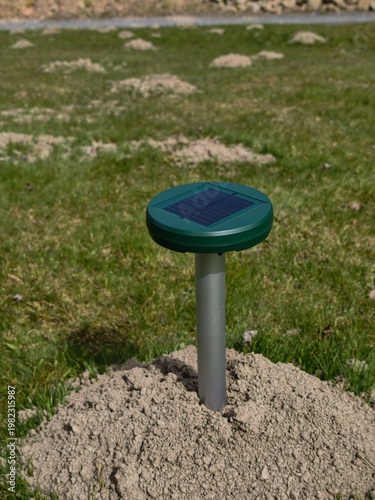 European Mole (Talpa europaea) – molehill with solar-powered repellent device in grassy habitat, common species in the Czech Republic