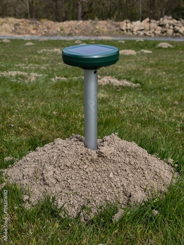 European Mole (Talpa europaea) – molehill with solar-powered repellent device in grassy habitat, common species in the Czech Republic