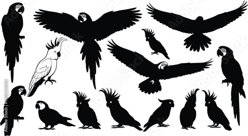Parrot and cockatoo silhouettes set, flying and sitting tropical birds collection, black animal shapes, wildlife vector illustration