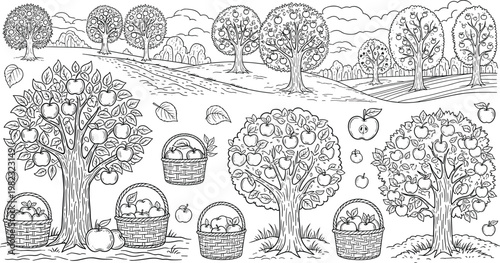 Hand-Drawn Apple Orchard Illustrations Set with Trees, Baskets, and Scenic Landscape in Black and White Style