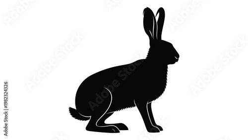 Silhouette of a hare in a seated position showcasing its long ears and fluffy tail