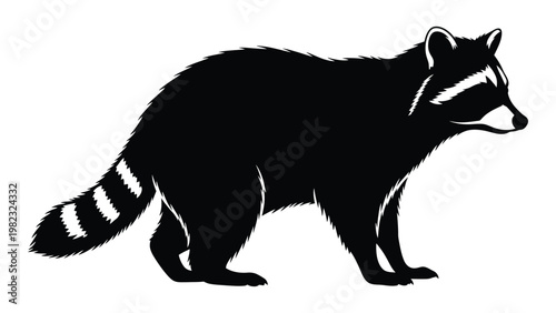 A striking black and white silhouette of a raccoon in a walking posture