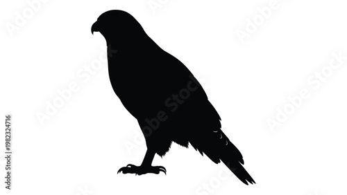 Silhouette of a hawk perched with its talons extended facing left